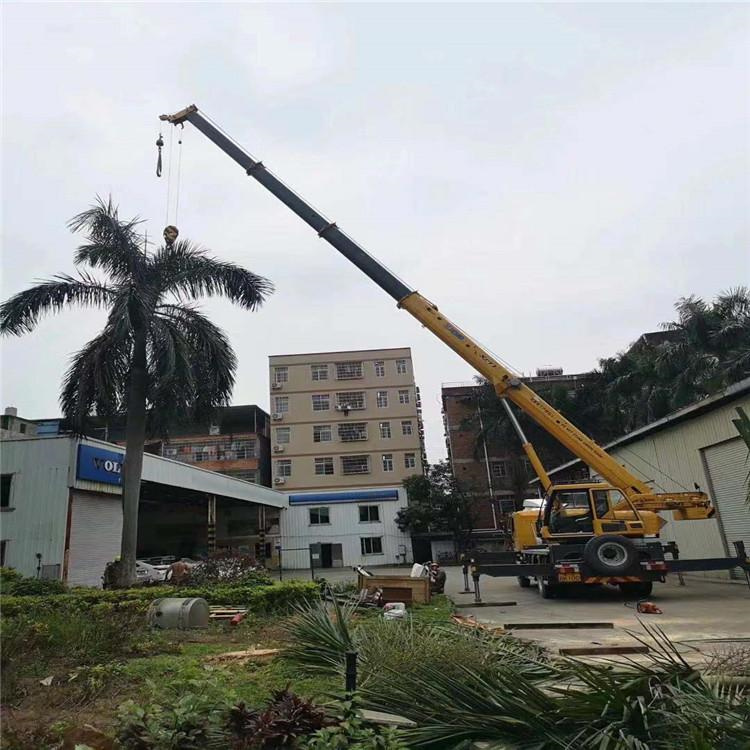 平桂吊车吊大树几种方法